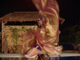 Bauchtanz, Modern Pop Orient Show, 1001 Nacht, orientalischer Bauchtanz. Arabische Nacht. (23).JPG